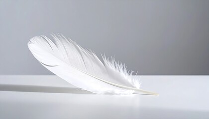 Obraz premium Single White Feather: Minimalist Purity Concept