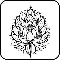 Detailed lotus blossom illustration showcases intricate patterns with black and white aesthetics