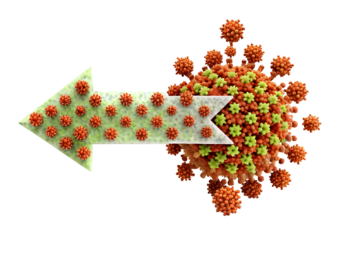 Arrow made of virus particles pointing towards a virus cluster isolated on transparent background