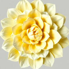 Soft Yellow Dahlia Bloom With Layered Petals