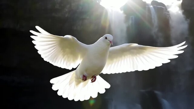 A pure white dove with open wings flying gracefully in slow motion with a sunlit waterfall background