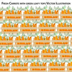 Wooden crates filled with fresh carrots with green leafy tops. Seamless vegetable basket pattern, organic farm harvest, healthy food, vegetarian diet, eco-friendly farming vector illustration