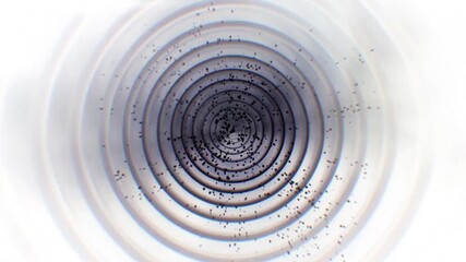 Essence bubbles remove melanin from skin cells, regenerate cells, brighten skin tone, anti-wrinkle and anti-aging, laser beauty, concept skin care beauty solution. Cosmetics ads, 3D animation.