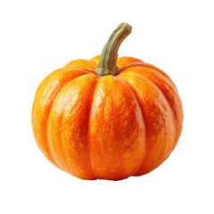 Obraz premium Single, small, orange pumpkin with stem