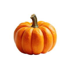 A small, round, orange pumpkin with a stem