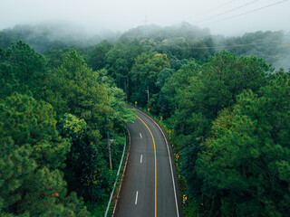 Aerial view of a road in the middle of a green forest in the rainy season. Environment and travel.
