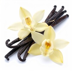 Vanilla beans lay behind two beautiful pale yellow vanilla orchid flowers against a white background creating a minimalist, elegant, and natural composition