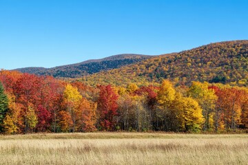 Fototapeta premium Colorful autumn forest in rolling hills 