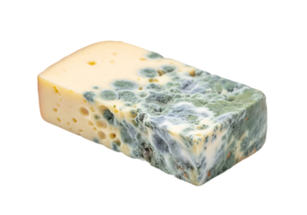 A rectangular wedge of cheese displays a significant amount of mold growth, with varying shades of pale yellow and greenish-gray discoloration across its surface.
