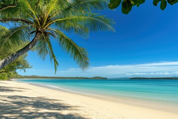 Palm trees over pristine tropical beach and ocean
