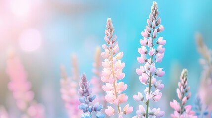 Pastel A garden of pastel wildflowers stretching into the distance, blending soft colors in nature.