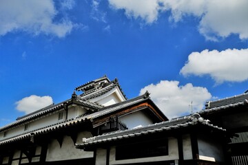 Fototapeta premium 日本、大阪、旧杉山家住宅、庭園、お屋敷、重要文化財、富田林市、歴史的建造物、木造階建、和風住宅、青空