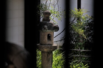 日本、大阪、旧杉山家住宅、庭園、お屋敷、重要文化財、富田林市、歴史的建造物、木造階建、和風住宅