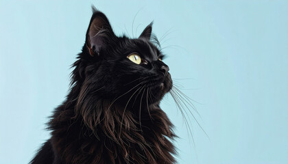 Long-haired black cat looking up_Pastel background 01_generated by AI