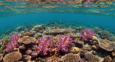 Naklejka premium Underwater coral reef teeming with colorful fish and varied coral formations