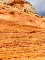 Zion National Park rock close-up