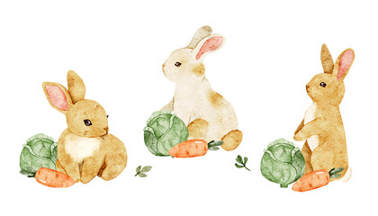 Watercolor farm clipart set with three cute bunnies with cabbage & carrot. Isolated illustration for Easter cards, kids goods, nursery prints, children's countryside party designs, baby shower decor.