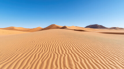Golden sand dunes stretch under clear blue sky, creating serene desert landscape