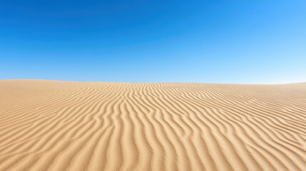 Fototapeta premium Golden sand dunes stretch under clear blue sky, creating serene and tranquil landscape