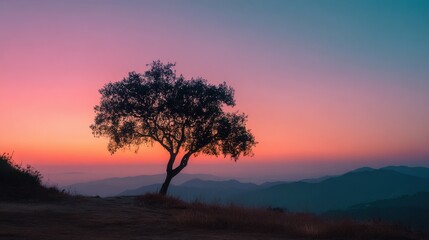 Obraz premium Silhouetted tree against a colorful sunset nature landscape tranquil environment scenic viewpoint