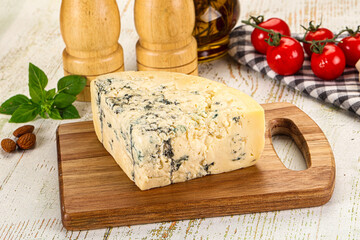 Gourmet blue cheese with mold