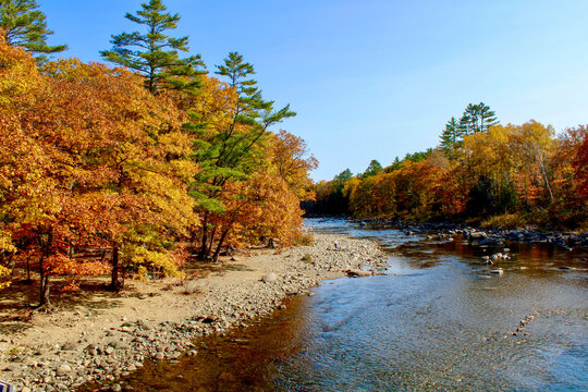 Scenic river flowing through a forest in Maine
