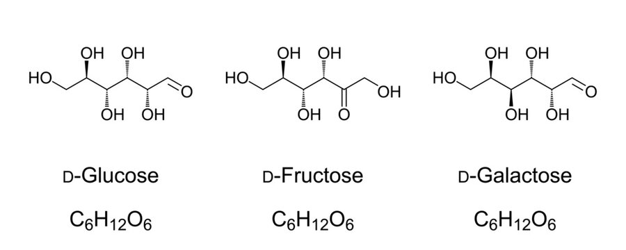 Glucose, fructose, and galactose, chemical and skeletal formulas. Most important sugar compounds in human metabolism, monosaccharides, a subcategory of carbohydrates, all three in D-configurations.