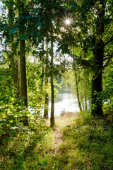 Fototapete bei efototapeten.de bestellen   