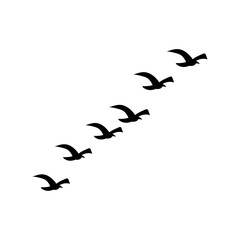 Black bird silhouettes vector, ideal for tattoo, nature, and wildlife graphics.