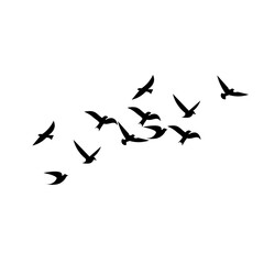 Set of abstract bird silhouettes in flight for artistic and decorative use.