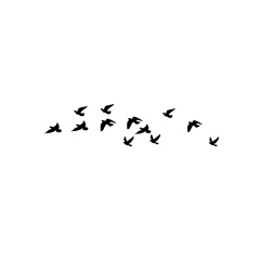 Abstract flying birds vector set for nature, migration, and wildlife themes.