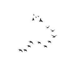 Fototapeta premium Abstract flying birds vector set for nature, migration, and wildlife themes.