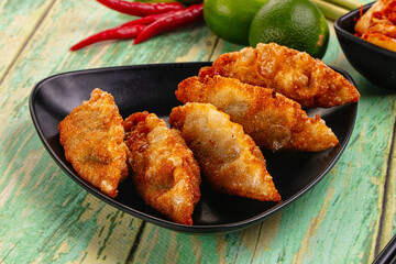 Asian fried stuffed dumplings gyoza