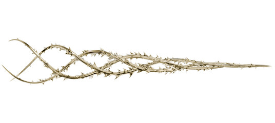 This sculptural 3D render is a graceful, interwoven line of thorns. Its fluid shape and golden color make it a versatile abstract graphic.