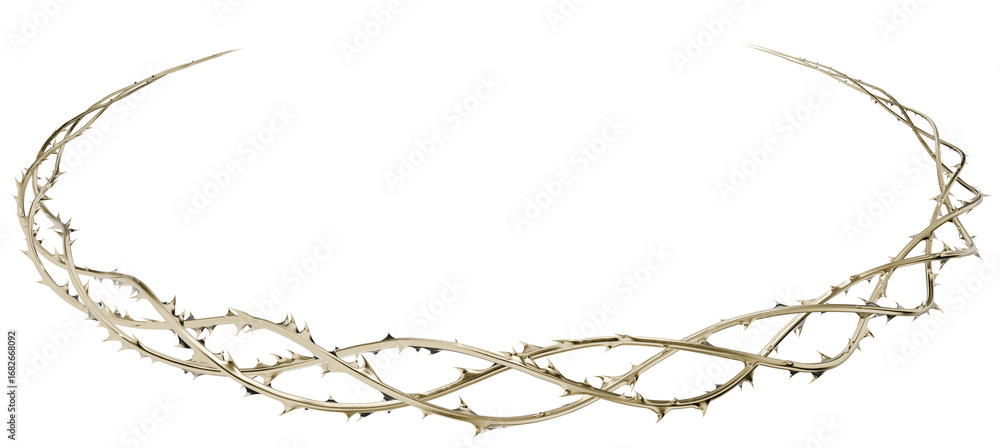 Poster this sculptural 3d render is a single, continuous line of thorns. its fluid shape and golden color m