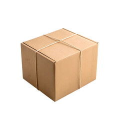 Fototapeta premium a single plain cardboard package