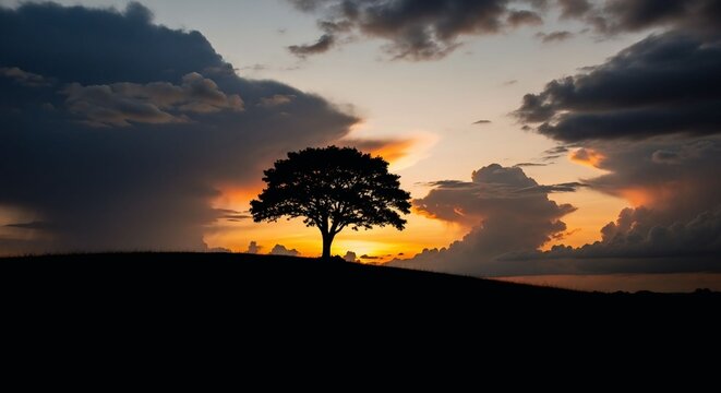 sunset and tree, silhouette, landscape 