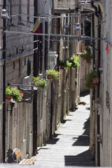Narrow street with flowers in Sant’Angelo in Grotte, Molise, Italy