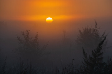 misty sunrise over the grassland 