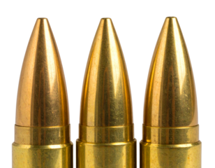 Realistic Ammunition Cartridges in Vertical Arrangement, Transparent PNG
