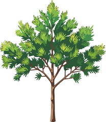 Fototapeta premium lush young pine tree vibrant green foliage, natures resilience, serene growth, isolated on transparent background