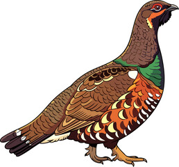 Obraz premium majestic spruce grouse a vibrant portrait of wild avian beauty in the boreal forest, isolated on transparent background