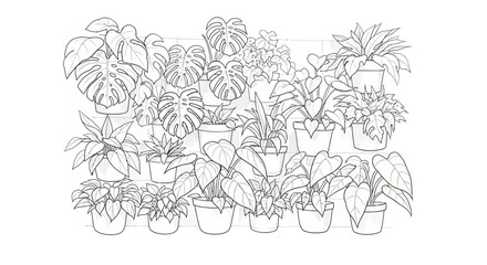 Obraz premium Botanical illustration featuring a collection of potted houseplants on display