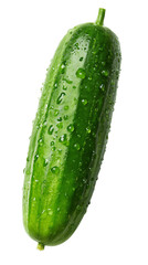 A whole cucumber, white background --ar 9:16
