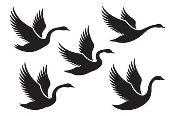 Set of Swan Silhouette, Flying Birds. Vector black silhouette. with white background