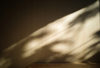 Minimalist interior with warm natural light casting soft plant shadows on a light wooden wall