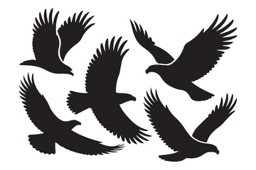 Obraz premium Set of Eagles Silhouette, Flying Bird. Vector black silhouette. with white background