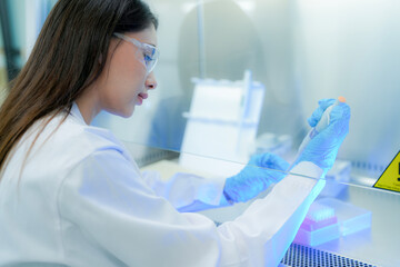 A focused Asian scientist uses a micropipette to transfer liquid samples into a multi-well plate...