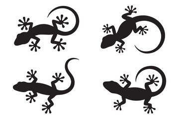 Set of Gecko Silhouette, Lizard. Vector black silhouette. with white background