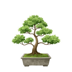 Fototapeta premium Flat minimal illustration of bonsai tree in rectangular pot isolated on white background without shadow